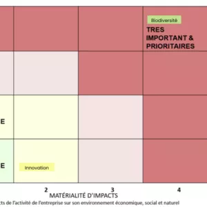 Exemple matrice double matérialité CSRD RSE - Agence Déclic